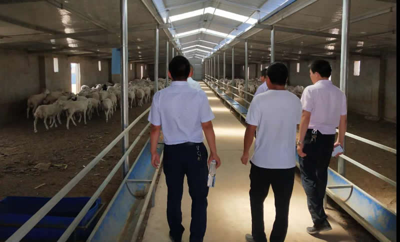 甘肅金控武威擔保公司與農(nóng)業(yè)銀行古浪縣支行聯(lián)合開展項目保后檢查